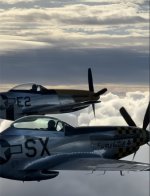 IMG_3039 Medium.jpeg