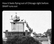 IMG_3076 Medium.jpeg