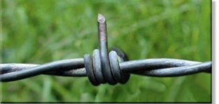 1762224871957.png 1762224871957.png