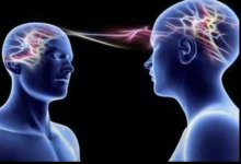 IMG_9221.jpeg IMG_9221.jpeg