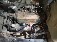 IMG_20251104_182741204_HDR.jpg IMG_20251104_182741204_HDR.jpg