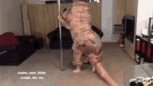 dinosaur pole dance2.gif