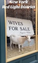 IMG_3130 Medium.jpeg