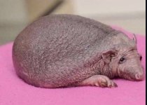 IMG_3023 Medium.jpeg