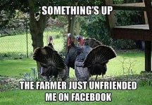 facebook-turkeys-58b8d6d53df78c353c231179.jpg facebook-turkeys-58b8d6d53df78c353c231179.jpg
