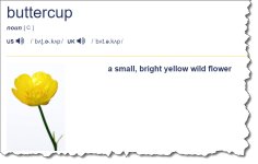 2025-11-13_11-39-05.jpg 2025-11-13_11-39-05.jpg