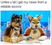 1763233275713.png 1763233275713.png