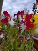 signal-2025-11-17-11-57-53-257-1.jpg signal-2025-11-17-11-57-53-257-1.jpg