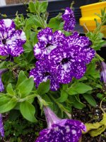 signal-2025-11-17-11-56-53-277.jpg signal-2025-11-17-11-56-53-277.jpg