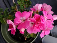 signal-2025-11-17-11-57-28-443.jpg signal-2025-11-17-11-57-28-443.jpg