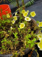 signal-2025-11-17-12-20-47-244.jpg signal-2025-11-17-12-20-47-244.jpg