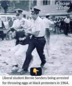 IMG_3221 Medium.jpeg