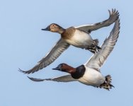 IMG_3240 Small.jpeg IMG_3240 Small.jpeg