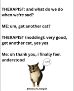 1763865989023.png 1763865989023.png