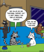 1763867480085.png 1763867480085.png