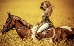 IMG_3271 Medium.jpeg