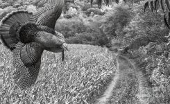 IMG_3277.jpeg IMG_3277.jpeg