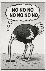 IMG_1448.jpeg IMG_1448.jpeg