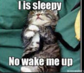 1764134147299.png 1764134147299.png