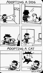 Screenshot_20251127_165124_Samsung Internet.jpg