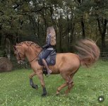 IMG_3296.jpeg IMG_3296.jpeg