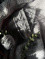 IMG_0346.jpg IMG_0346.jpg