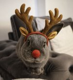 IMG_3316.jpeg IMG_3316.jpeg