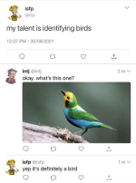 bird id sm cc.png bird id sm cc.png