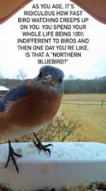 IMG_9027.jpeg IMG_9027.jpeg