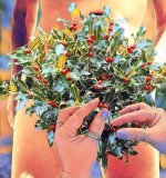 1A427CF9-1115-4AEA-B1DF-2279EA4E42DE.jpeg 1A427CF9-1115-4AEA-B1DF-2279EA4E42DE.jpeg