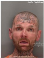 UltraChad_aka_BotanyBoy.jpg UltraChad_aka_BotanyBoy.jpg