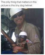 1764852691380.png 1764852691380.png