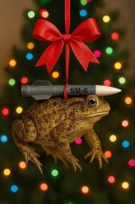 1765072074587.jpeg 1765072074587.jpeg