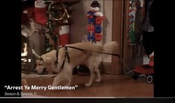 IMG_1995.jpeg IMG_1995.jpeg