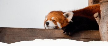 1765311652524.jpeg 1765311652524.jpeg