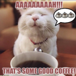 1765337392261.png 1765337392261.png