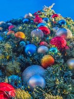 1000092316.jpg 1000092316.jpg