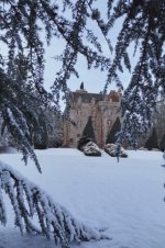 IMG_3360 Medium.jpeg IMG_3360 Medium.jpeg