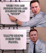 elonfraud.png