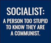 socialiststupid.png