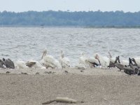 IMG_5517.jpg IMG_5517.jpg