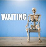 IMG_1029.jpeg IMG_1029.jpeg