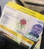 1765712486260.jpg 1765712486260.jpg