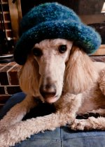 1000014004.jpg 1000014004.jpg