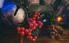 1000014096.jpg 1000014096.jpg