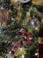 IMG_7537-compressed.jpeg IMG_7537-compressed.jpeg