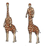 1765951704195.jpeg 1765951704195.jpeg