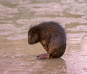 1766067274661.png 1766067274661.png