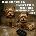 Yorkie Lovers.jpg