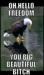 f2f7d9d476f98733478d7bfa5ed1b93a.jpg f2f7d9d476f98733478d7bfa5ed1b93a.jpg